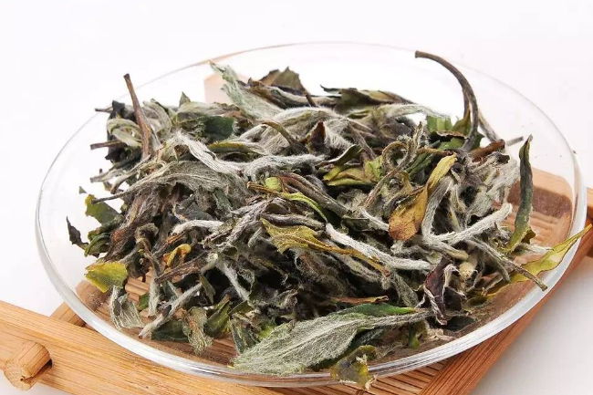 白茶知识科普：白茶的主要品种有那些
