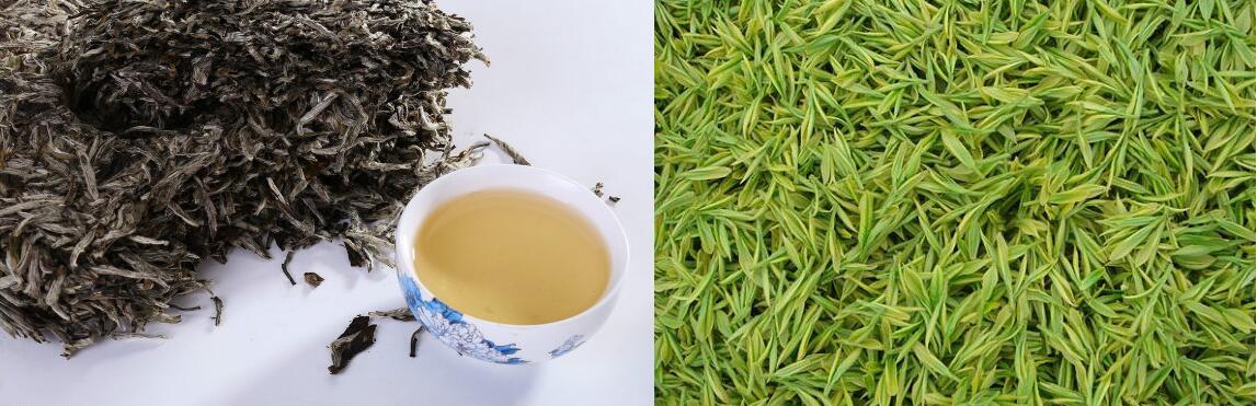 白茶和普洱茶哪个好白茶更有收藏价值