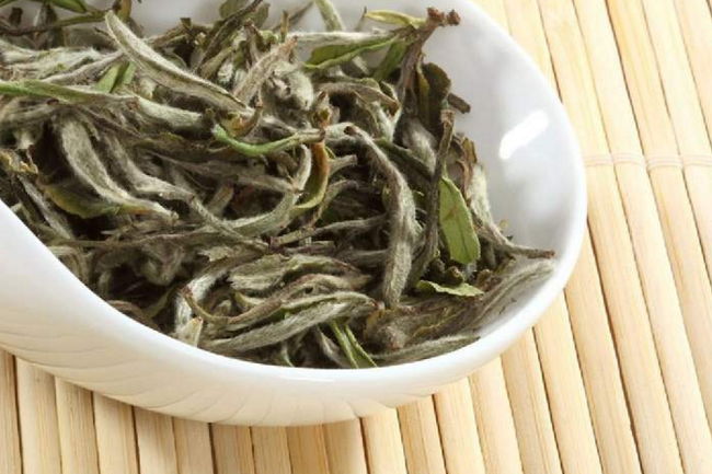 秋季要怎么喝茶喝白茶更有益身体健康