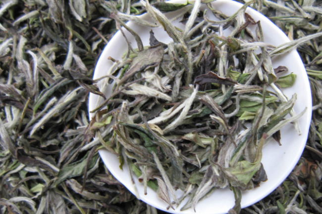 茶叶知识：详解白茶的保存方法与要素