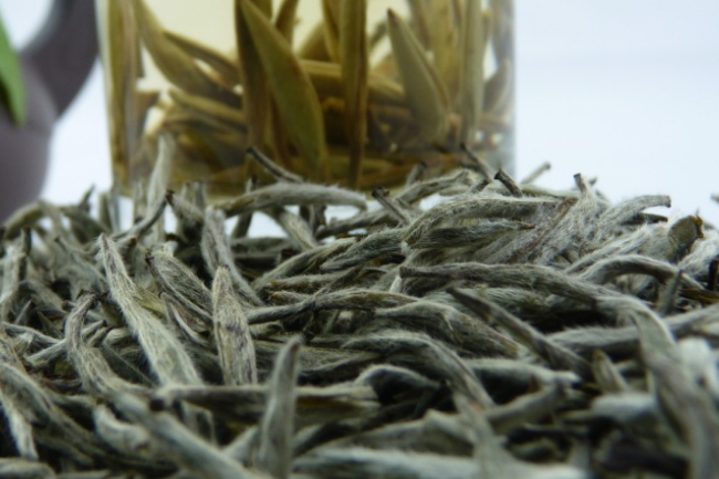 白茶是什么茶喝白茶的功效与作用介绍