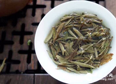 茶学系教授屠幼英细说白茶的６大保健功用