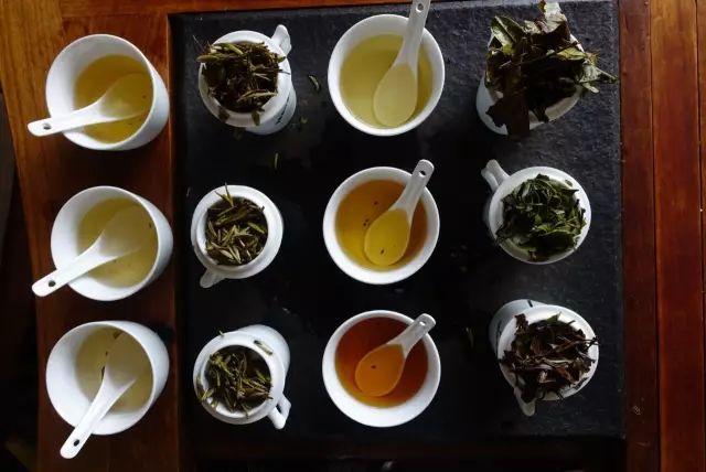 在云南，怎么样才能做出好的白茶？