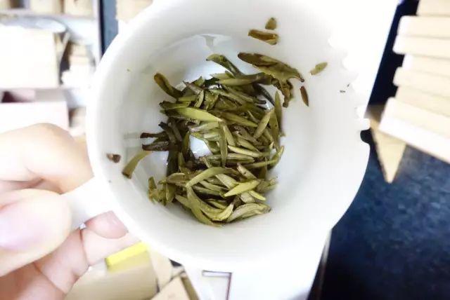 在云南，怎么样才能做出好的白茶？