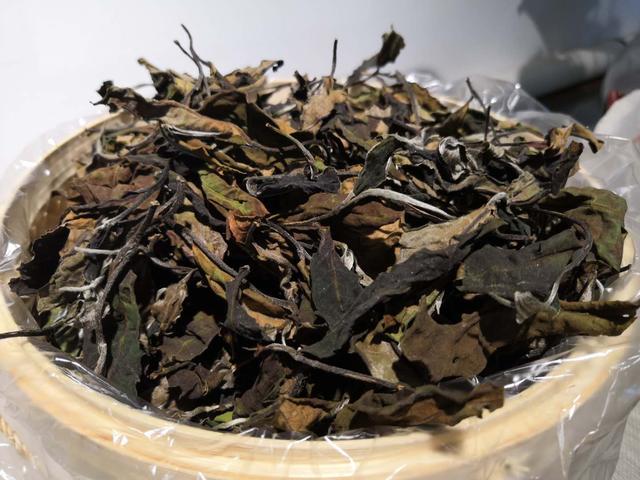 用云南大叶种制作的白茶有什么特点呢？