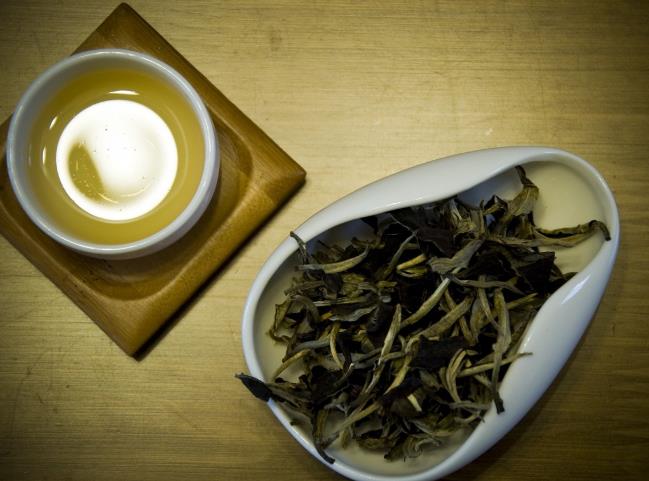 乌龙茶属于什么茶为什么青茶不是青色