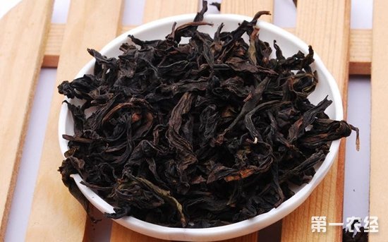 闽北乌龙茶主要品种及毛茶品质特点