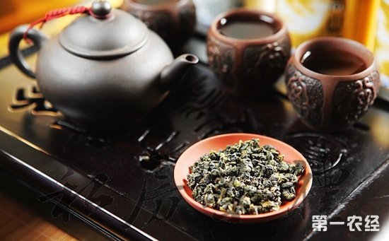 乌龙茶包括哪些品种？