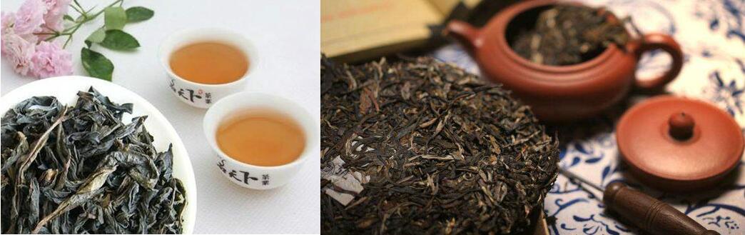 乌龙茶和普洱茶的区别主要在制作工艺