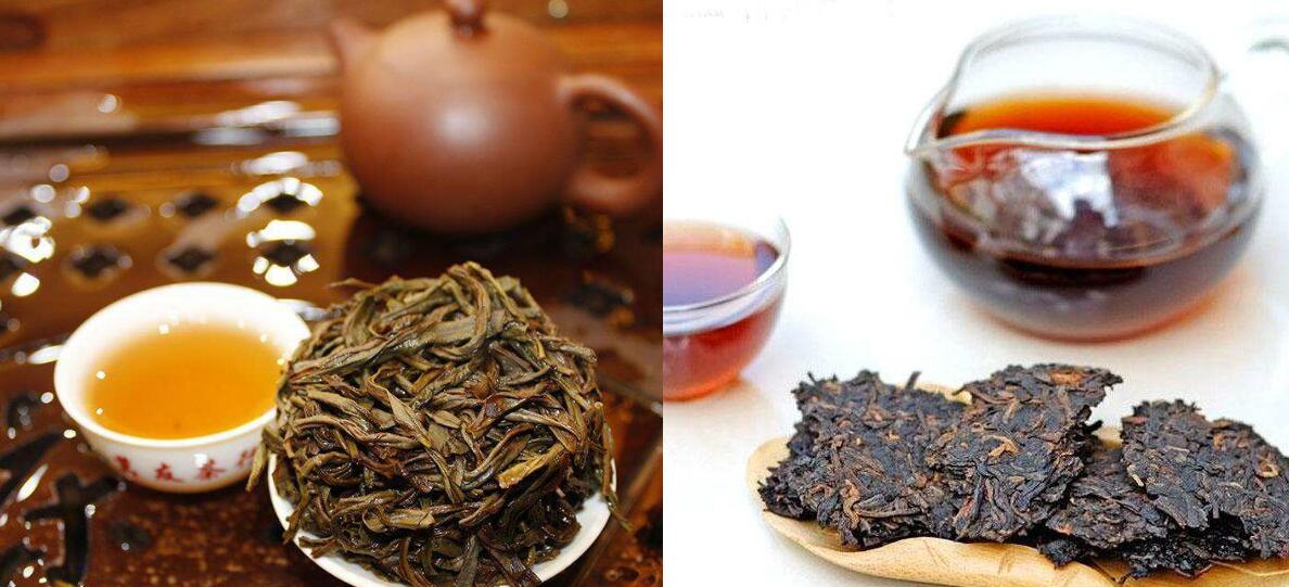 乌龙茶和普洱茶的区别主要在制作工艺