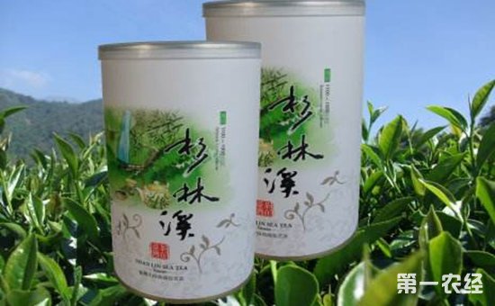 台湾乌龙茶有哪些？台湾乌龙茶的种类有哪些？