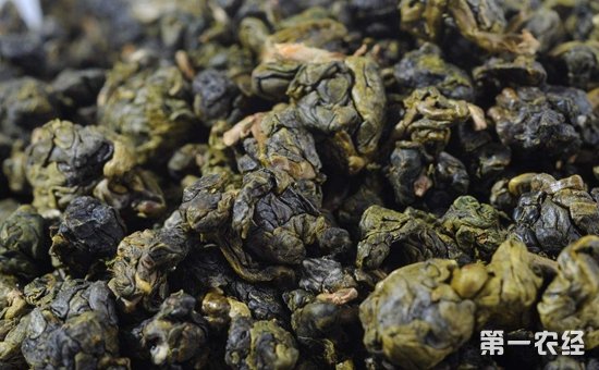 乌龙茶和普洱茶有什么区别？乌龙茶和普洱茶的区别介绍