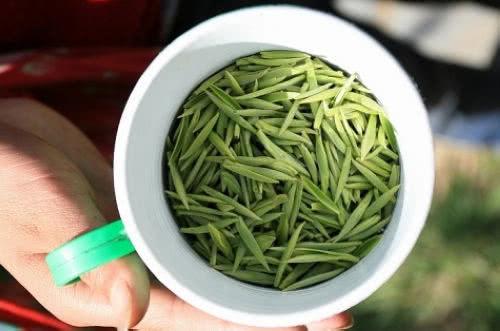 典型工艺制作和有益的功效之“绿茶”