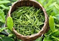 綠茶中兒茶素攝入量不同健康效應也有不同