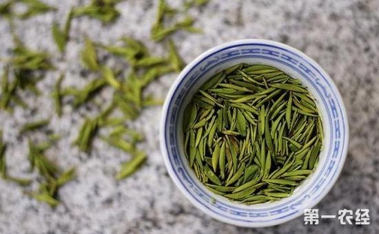 喝绿茶功效绿茶的功效与作用及禁忌