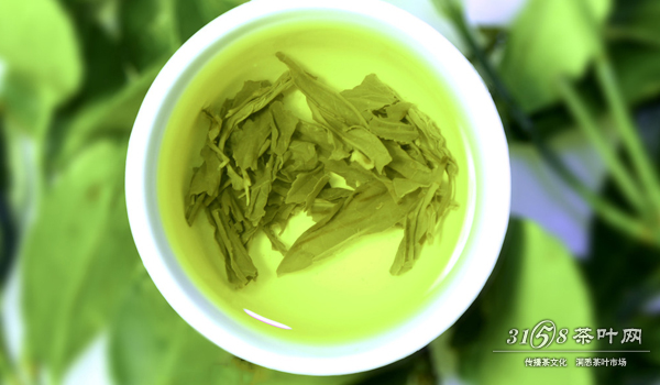 绿茶究竟是指什么茶饮用绿茶到底有什么益处
