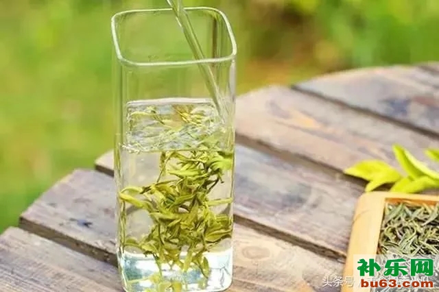 绿茶有多种多样，你最喜欢哪种？