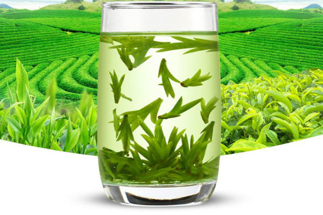 茶的品种：四川绿茶一般都有哪些品种