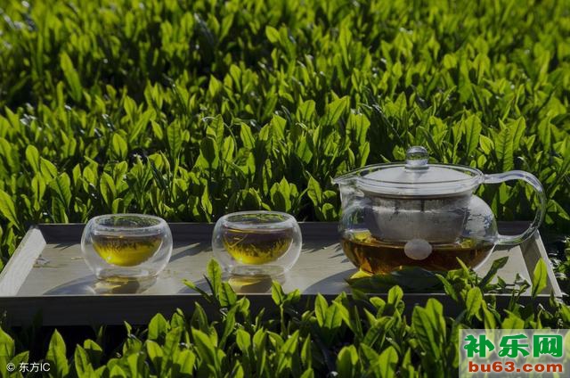 爱喝绿茶的朋友，买绿茶的时候，你们注意过这5个方面么？