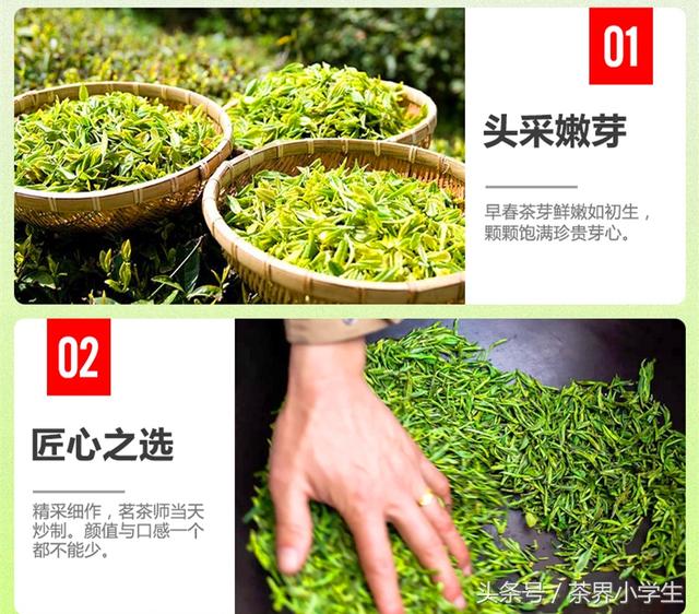 绿茶产地（2）——江苏名优绿茶