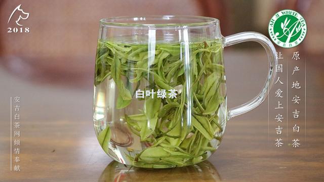 白叶绿茶是什么茶？多少钱一斤？