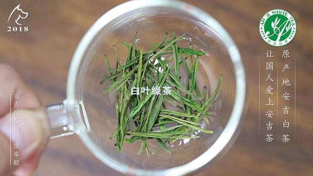 白叶绿茶是什么茶？多少钱一斤？