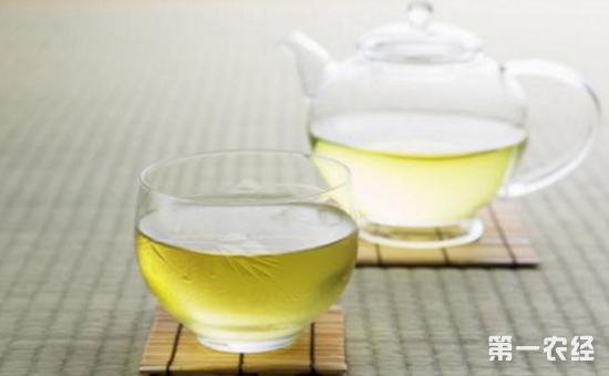 喝文君绿茶有哪些好处？文君绿茶的功效与作用