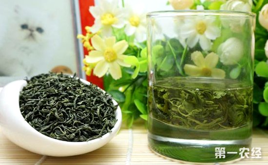 不同类型的绿茶品质特征有什么不同？绿茶知识