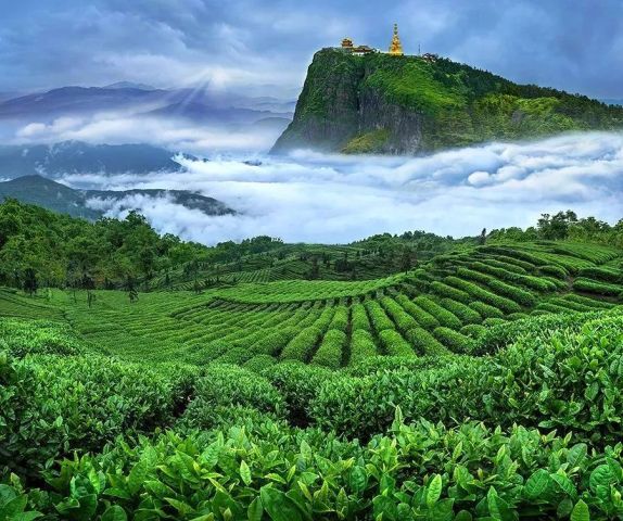 世界绿茶发源地之一，再没有比它更美的地方