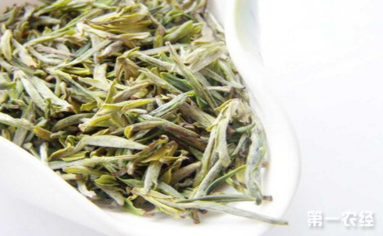 大悟绿茶这个名字是怎么来的？大悟绿茶的名称由来