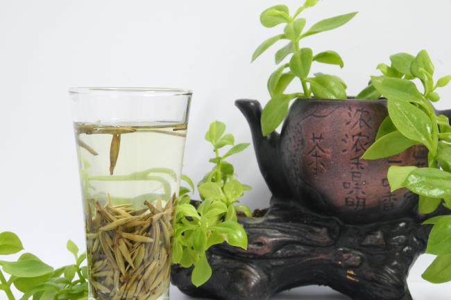 哪种绿茶最好喝之绿茶有哪些品种口感好