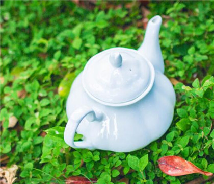 庐山云雾茶是绿茶品种吗？
