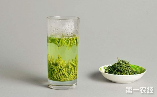 乌龙茶和绿茶有什么区别？乌龙茶和绿茶的区别