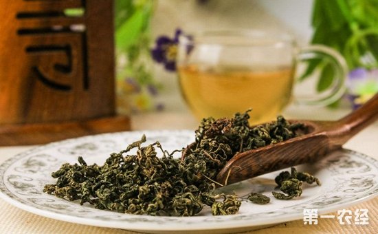 乌龙茶和绿茶有什么区别？乌龙茶和绿茶的区别