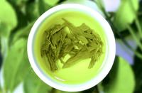 清肝明目绿茶的多种功效中效果最明显