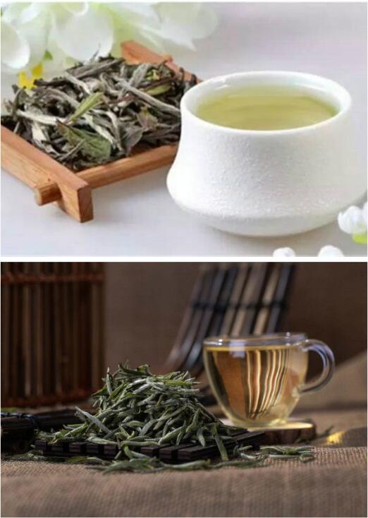 白茶能减肥吗坚持喝效果比绿茶好