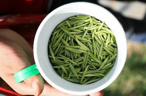 绿茶储存要求多五大禁忌要牢记在心中