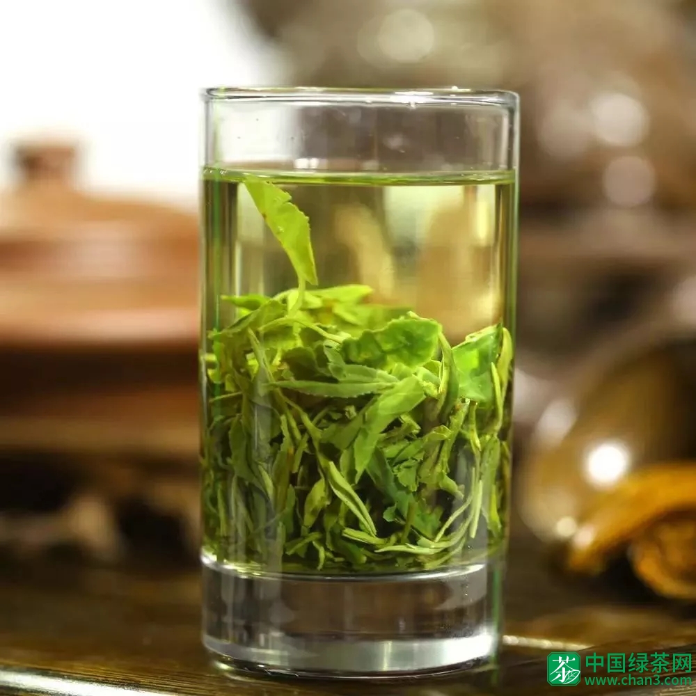 绿茶与健康，常饮绿茶好处多多