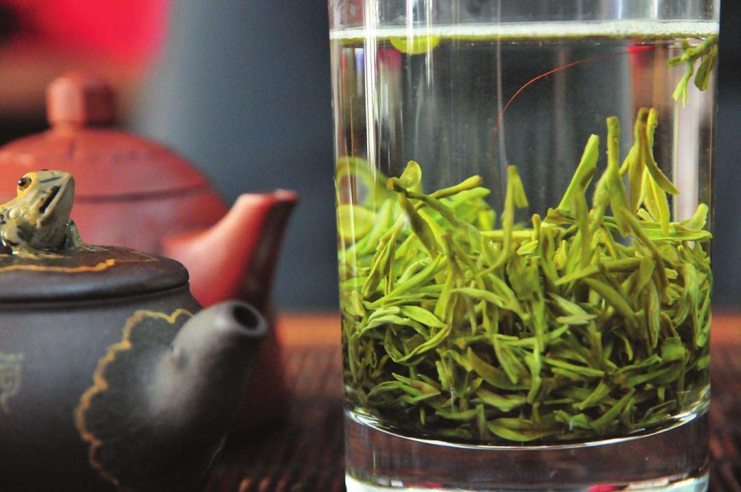 带你了解绿茶的营养价值
