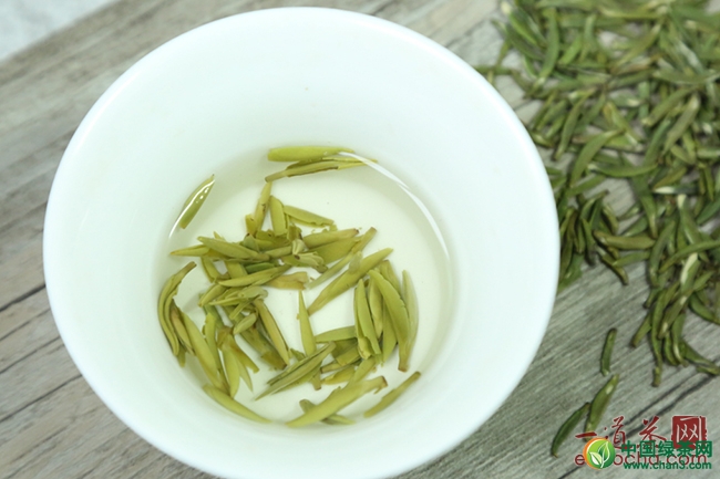 入夏常饮茶茶艺师带你了解绿茶的营养价值