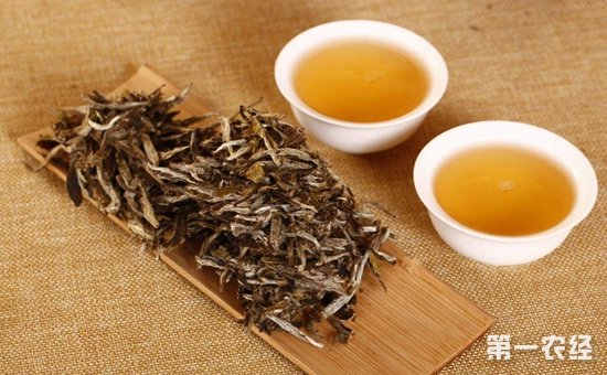 胃寒的人不适合喝哪些茶？菊花茶和绿茶