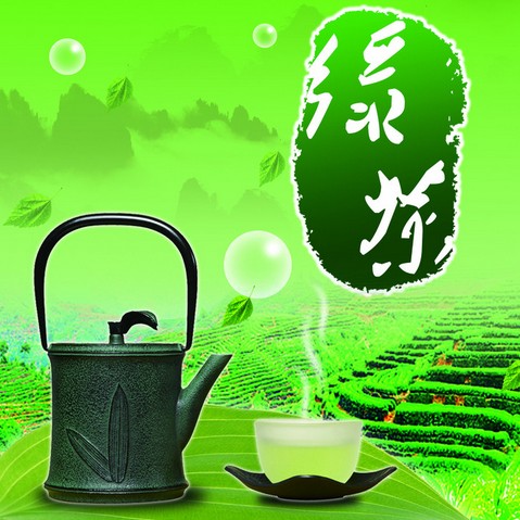绿茶VS普洱茶！！绿茶和普洱茶哪个好