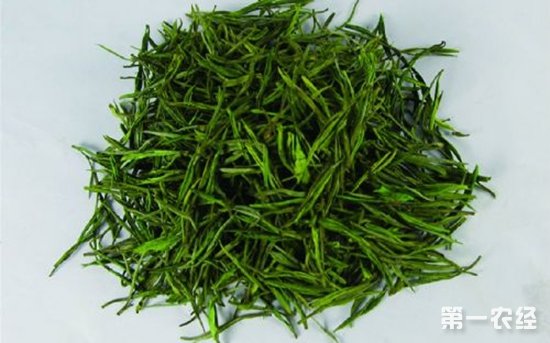 烘青绿茶蒸青绿茶等不同绿茶的品质特征