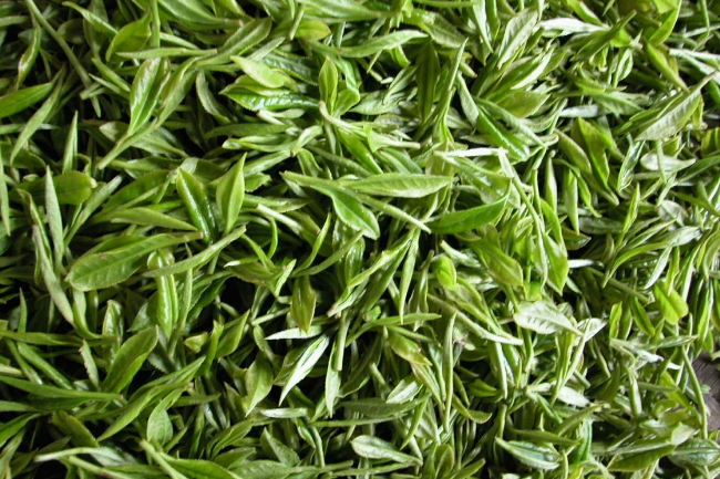 七境堂绿茶是什么茶七境堂绿茶的起源