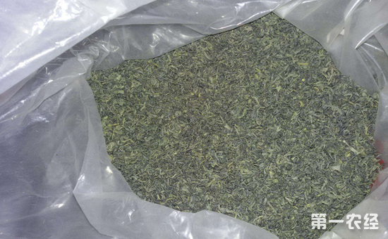 凫绿茶需经历多少道工序？凫绿茶的制作工艺有哪些？
