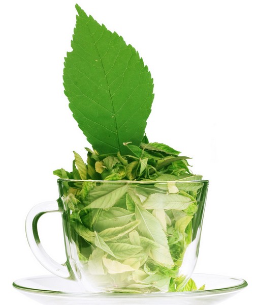 绿茶粉丝注意：常喝绿茶的利与弊