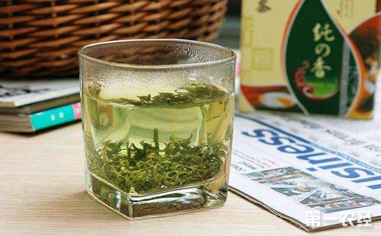 崂山绿茶要怎么采摘？崂山绿茶的制作工艺