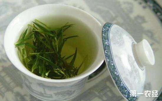 黄茶与绿茶的区别是什么？