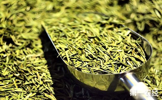 黄茶和绿茶有什么不同？黄茶和绿茶介绍