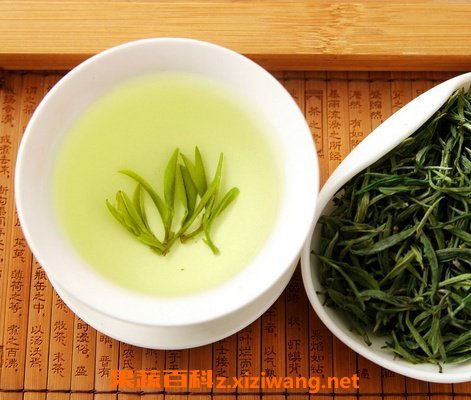 绿茶有哪些功效与作用绿茶营养价值